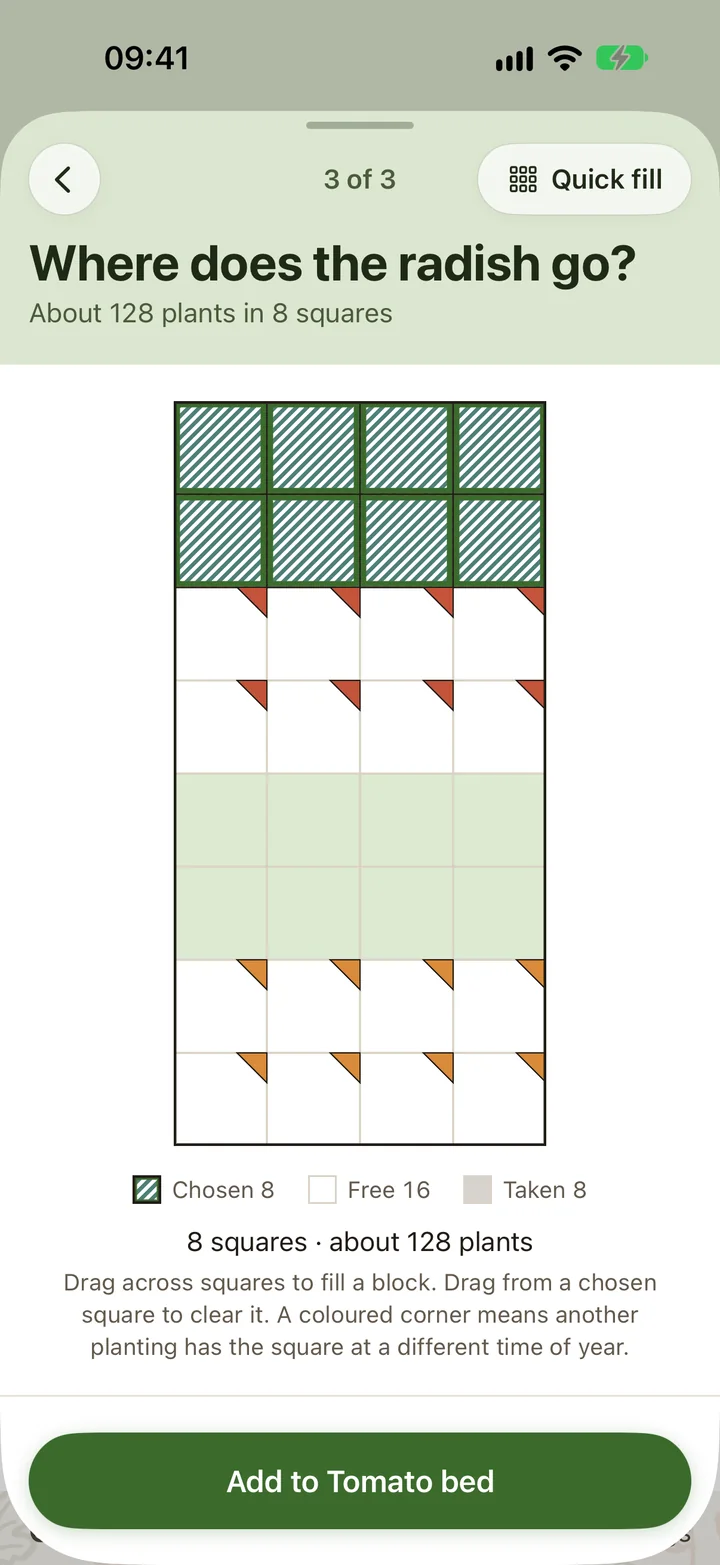 Where does the radish go? The first eight squares of the Tomato bed chosen, about 128 plants; the squares the tomatoes and courgettes take later carry a corner in their colour, and the lettuce’s are taken.