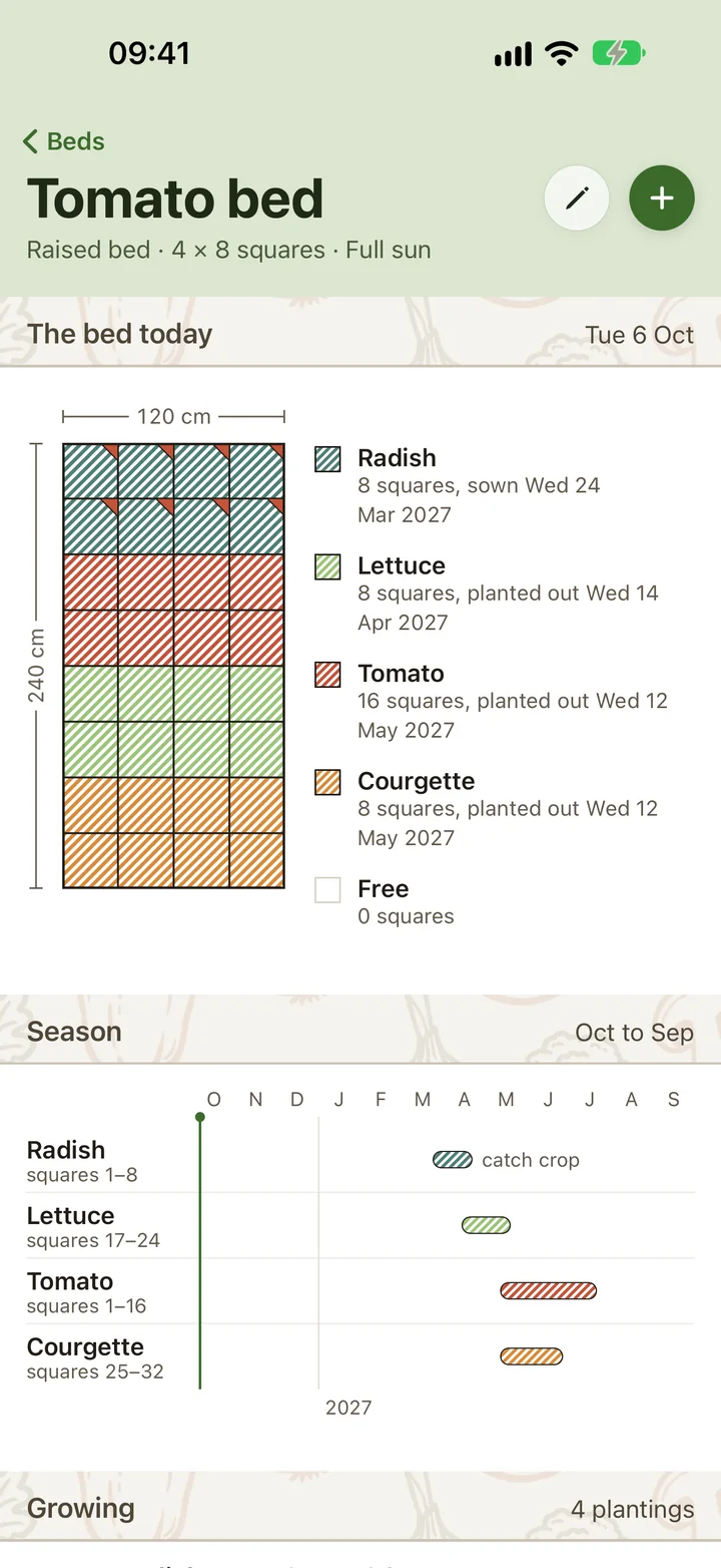 The Tomato bed, 4 by 8 squares: radish in squares 1 to 8 with the tomato marked to follow, lettuce, tomato and courgette, and the season line with the radish marked catch crop.